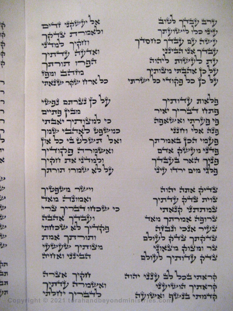 Photograph of the Scroll of Psalms showing Psalm 119 verses 122 through 147 showing the ayin, pe, tzade, qof