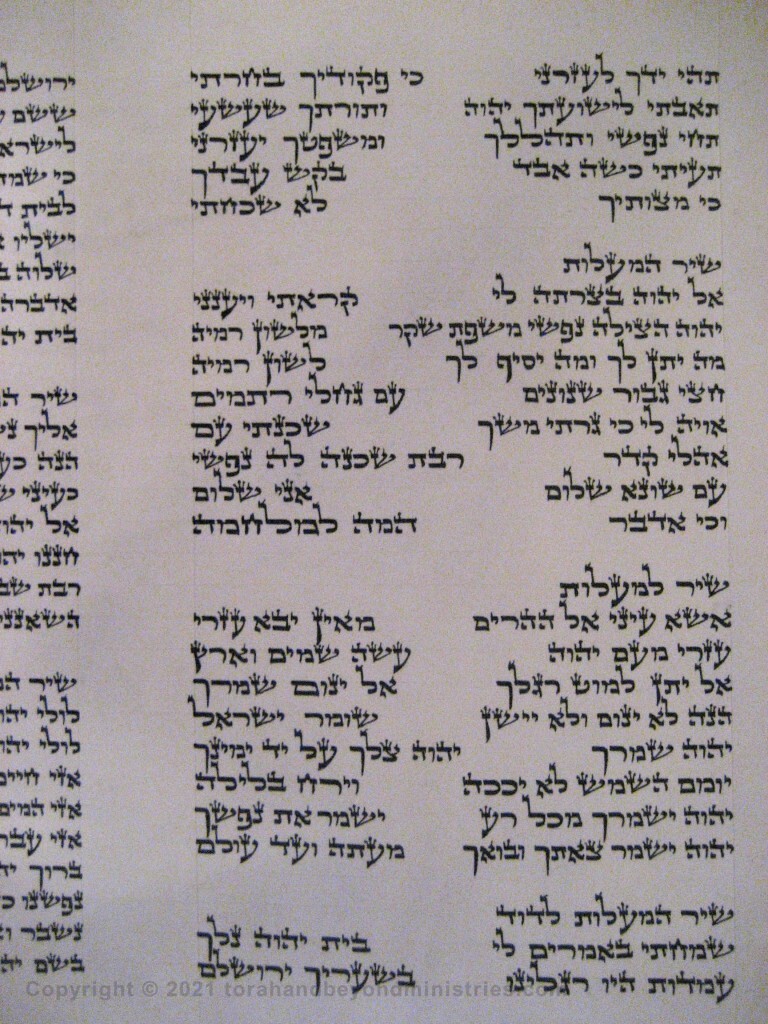 Photograph of the Scroll of Psalms showing Psalm 119 verses 173 through 176 showing the tav