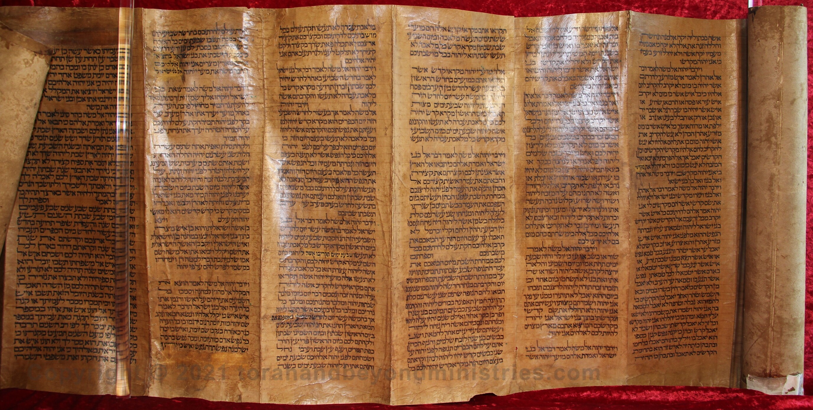 Feasts of the Lord photograph deerskin Torah Scroll Leviticus 23