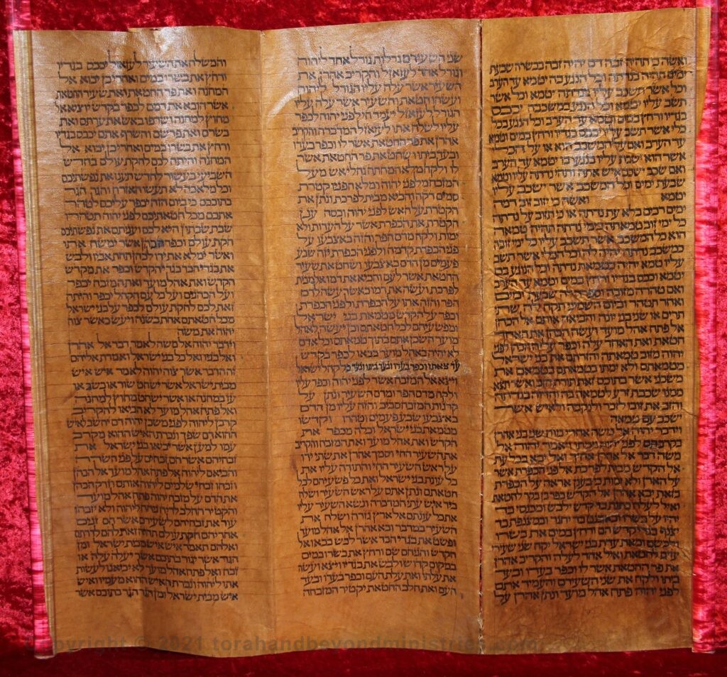 Deerskin Torah Scroll photograph of Day of Atonement text