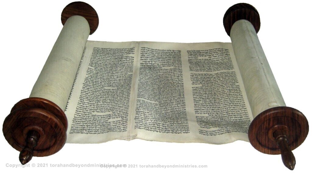 Vilna Torah Scroll open for viewing