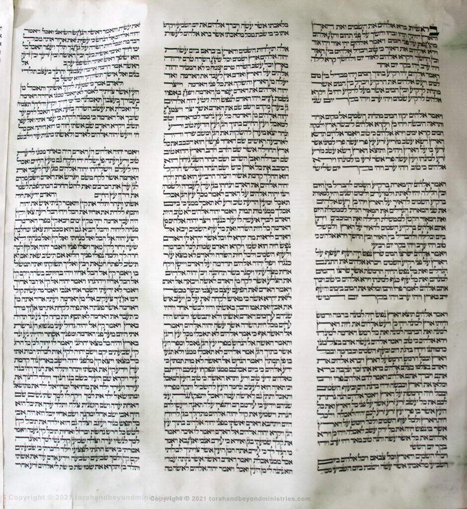 Vilna Torah Scroll first sheet Creation and the fall of mankind