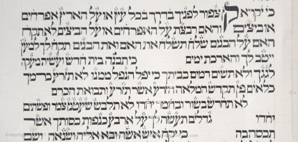 Vilna Torah Scribal oddities Deuteronomy 22 verse 6