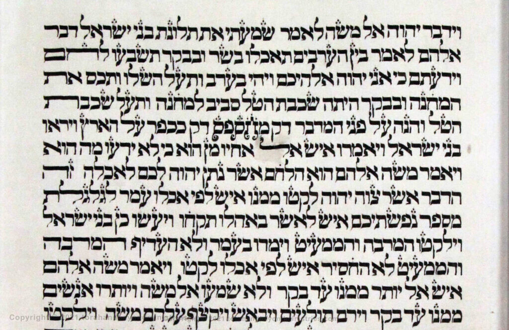 Vilna Torah Scribal oddities Exodus l6 verse 14