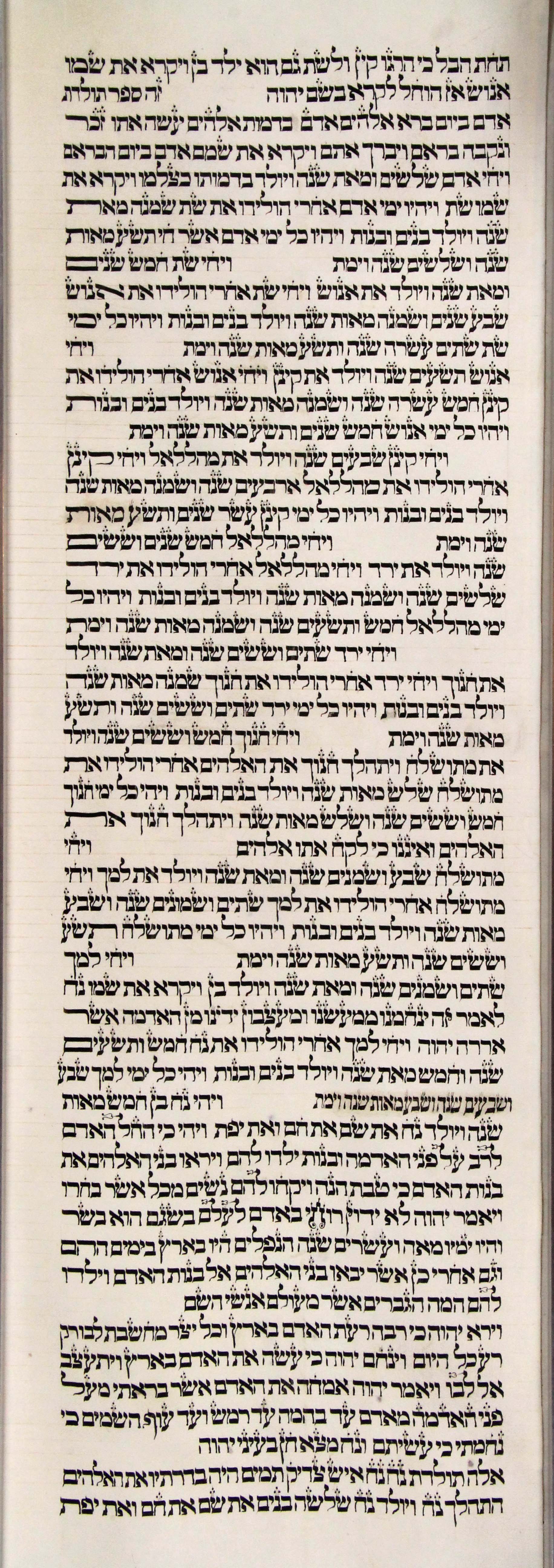 s2c1-Genesis_4-25d_to_6-10