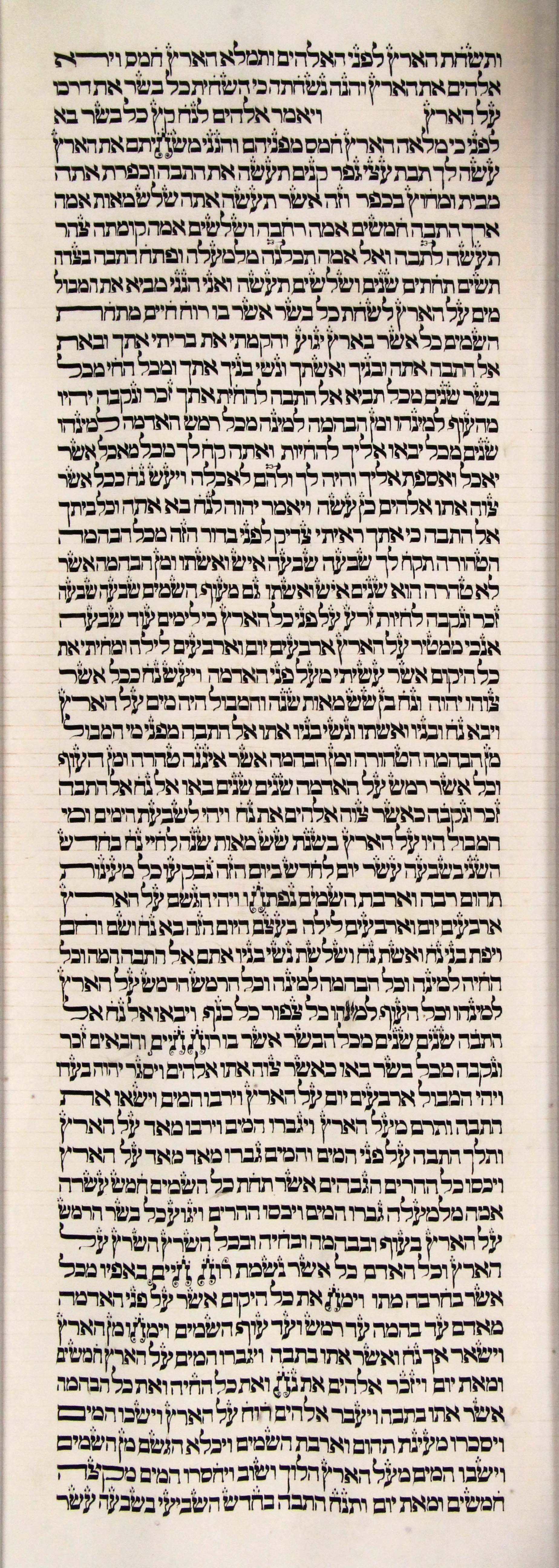 s2c2-Genesis_6-11_to_8-4a