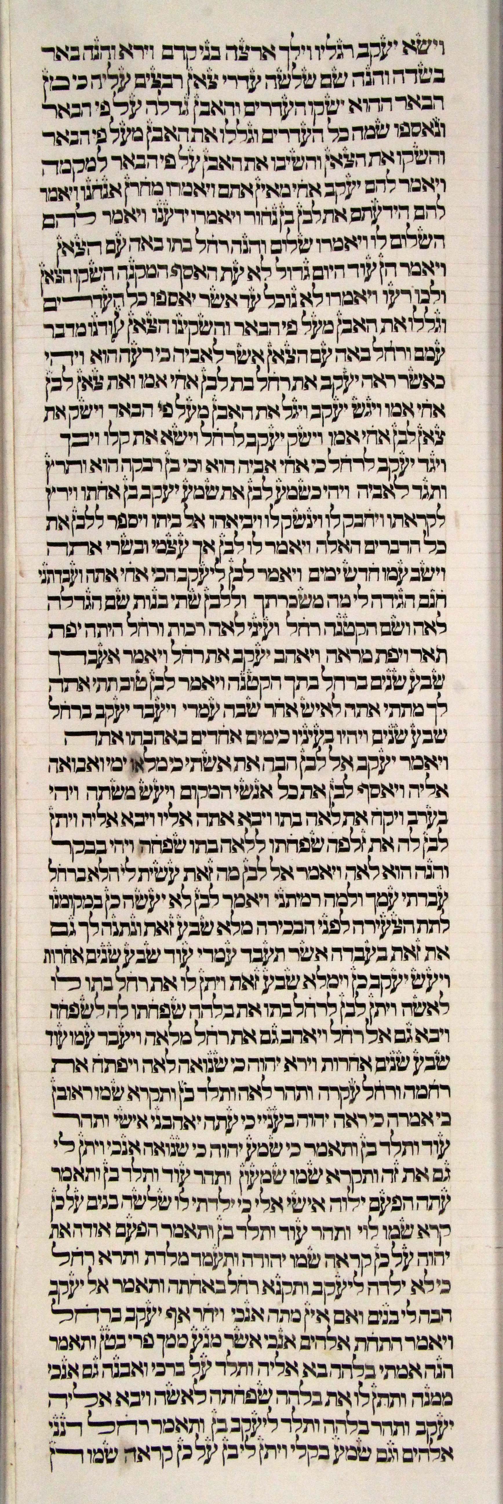 s7c3-Genesis_29-1_to_30-6