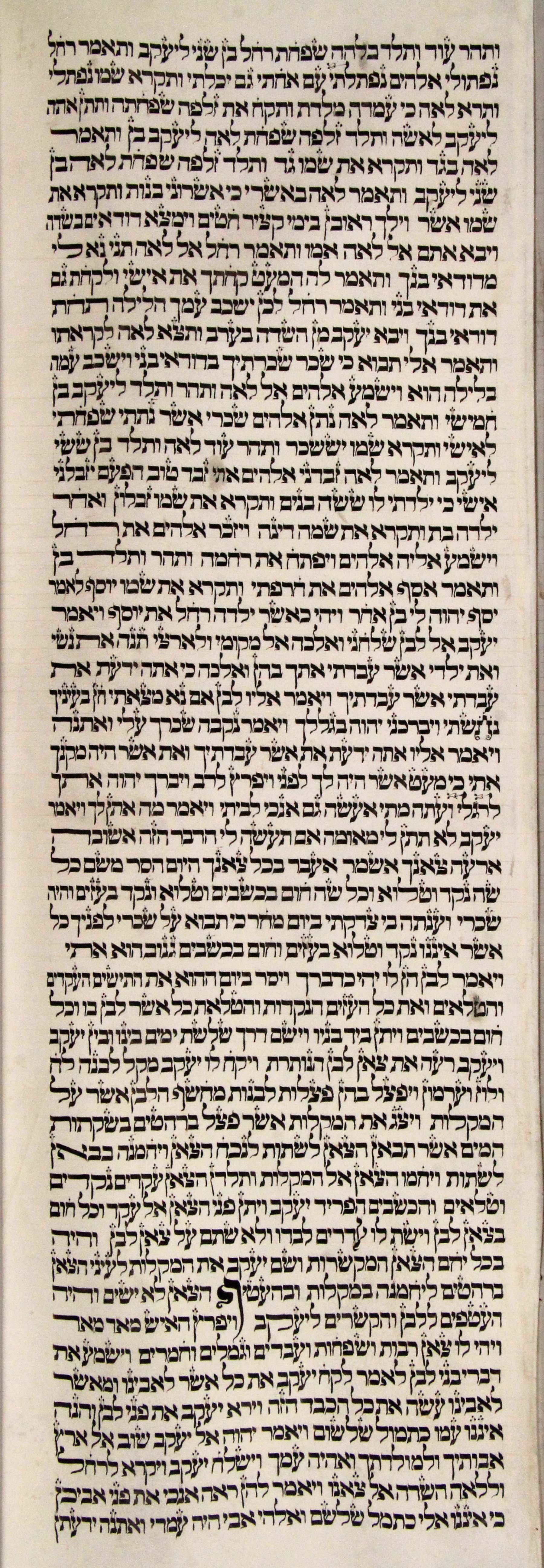 s8c1-Genesis_30-7_to_31-6a
