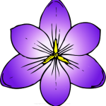 crocus_flower_top_view