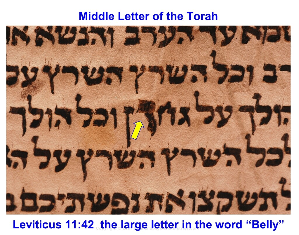 Middle Letter of Torah Hebrew Jewish clip art