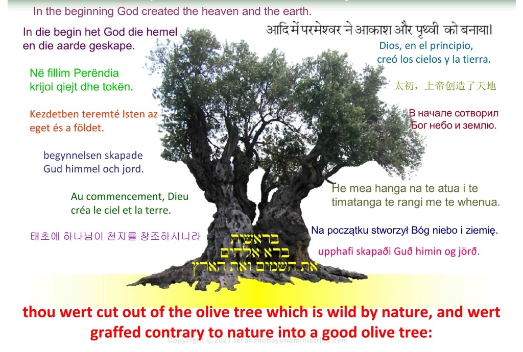 The good Olive Tree Hebrew Jewish clip art