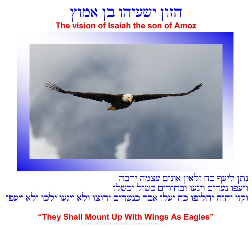 Isaiah 40:31 But they that wait upon the LORD shall renew their strength; they shall mount up with wings as eagles;